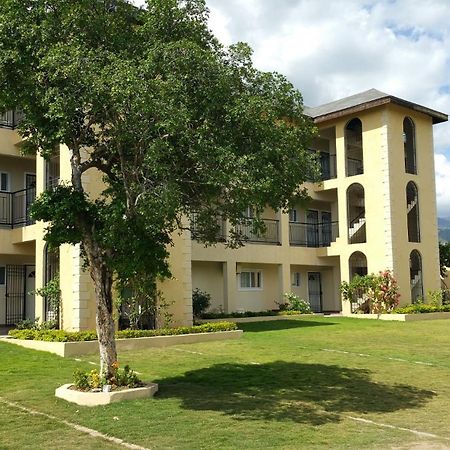Donhead New Kingston Apt 5 Ngoại thất bức ảnh