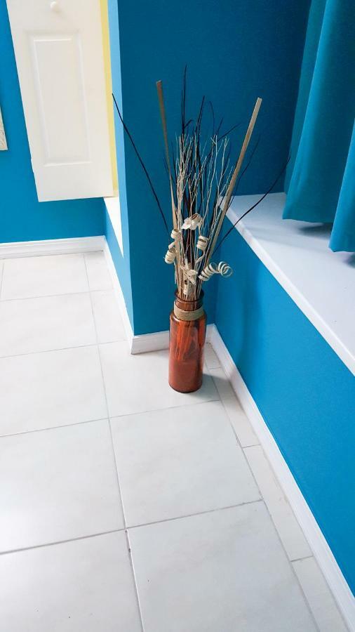 Donhead New Kingston Apt 5 Ngoại thất bức ảnh